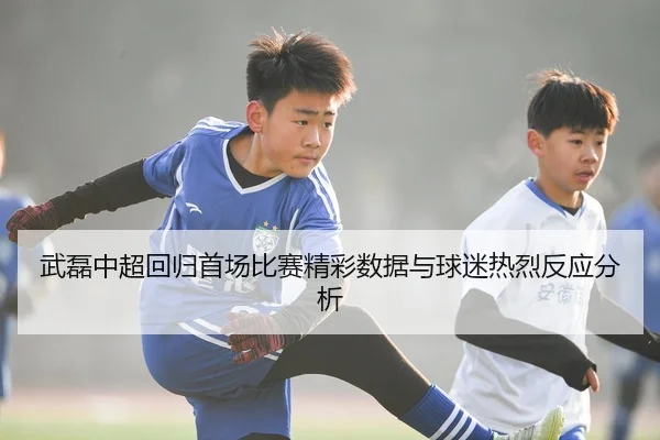 武磊中超回归首场比赛精彩数据与球迷热烈反应分析