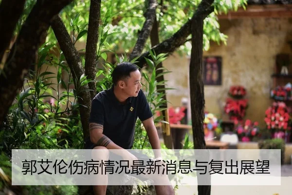 郭艾伦伤病情况最新消息与复出展望
