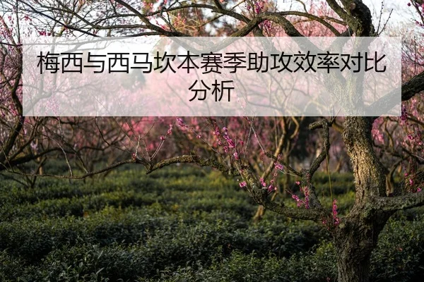 梅西与西马坎本赛季助攻效率对比分析